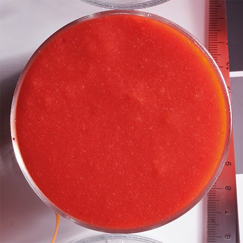 Boiron 100% Strawberry Puree 1kg