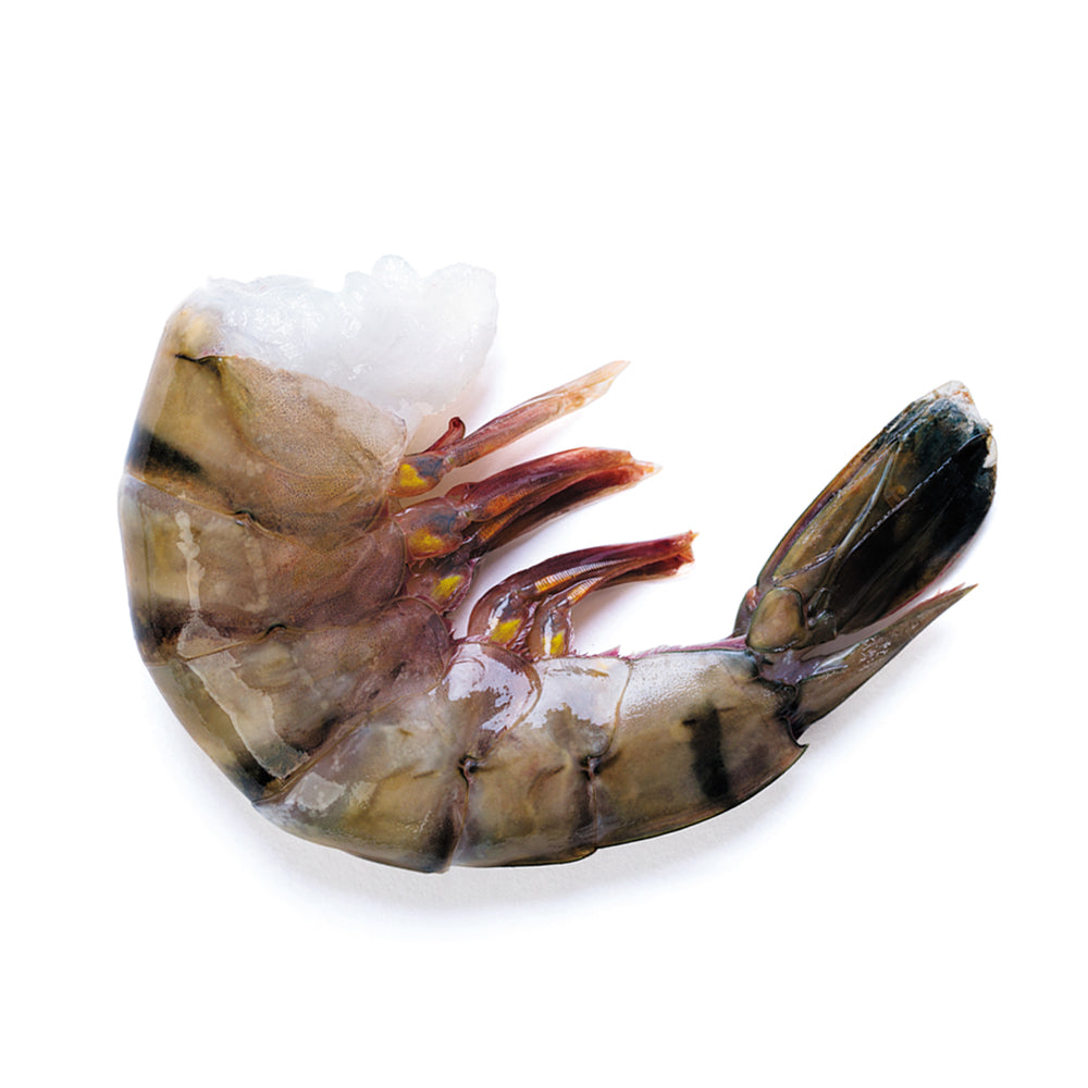 Open Coast Easy Peel Black Tiger Shrimp 8/12 2lb