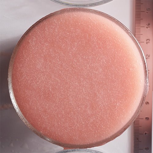 Boiron 100% White Peach Puree 1kg