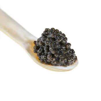Sasanian Siberian Baerii Caviar 8.75oz