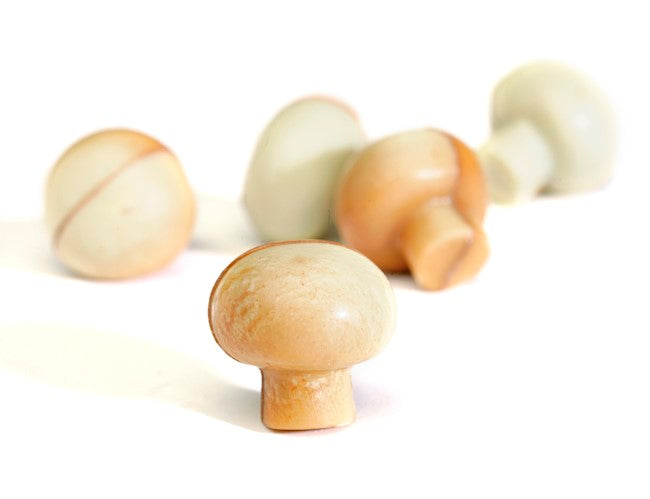 Wholesale Nirvana Bulk Case Of Mushroom Shaped White; Marbled Chocolates W/Praline Filling- Bulk