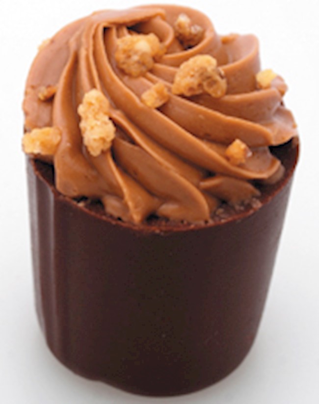 Wholesale Nougatine Dark Chocolate Gianduja Cream 2.2 LB- Bulk