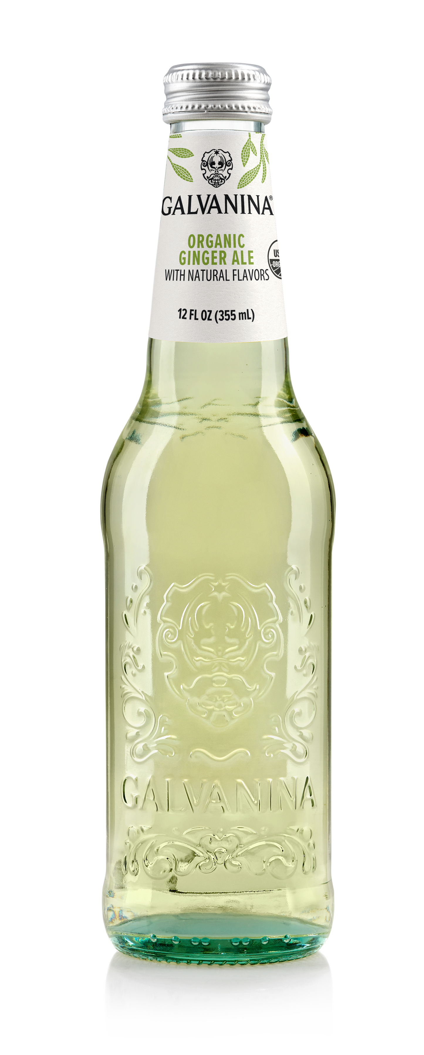 Wholesale Galvanina Organic Ginger Ale Soda 355 ML 12 oz- Bulk