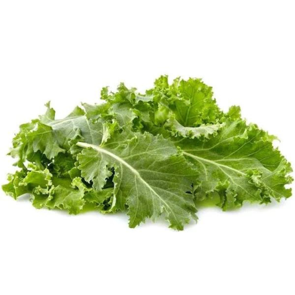 Wholesale B&W Baby Kale | 1.5 lb- Bulk