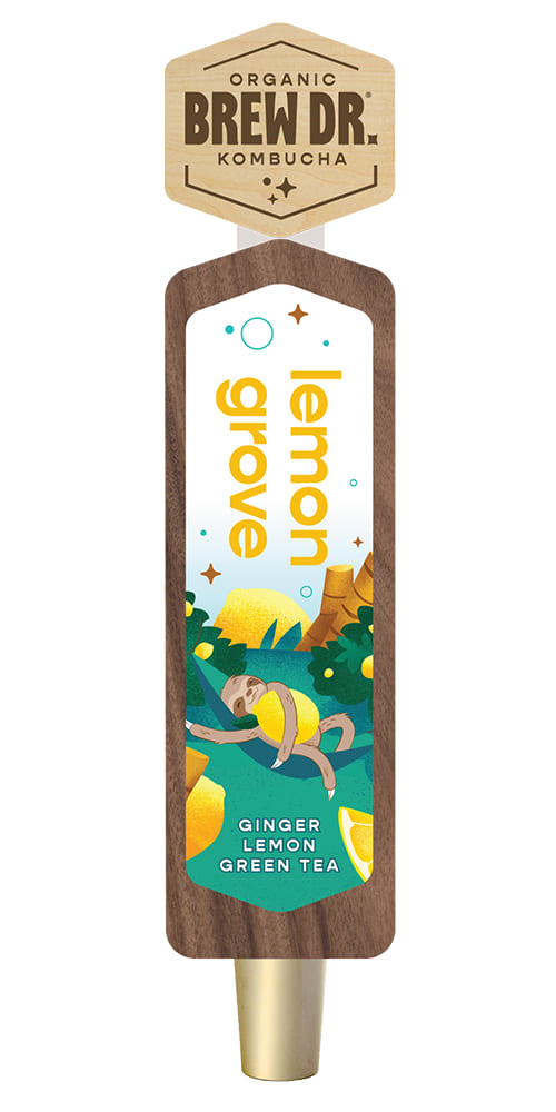 Wholesale Brew Dr Keg Ginger Lemon- Bulk