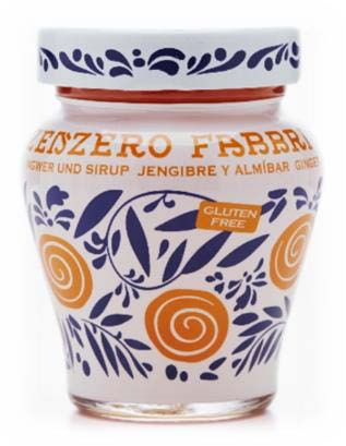 Wholesale Fabbri Ginger in Syrup 8 oz- Bulk