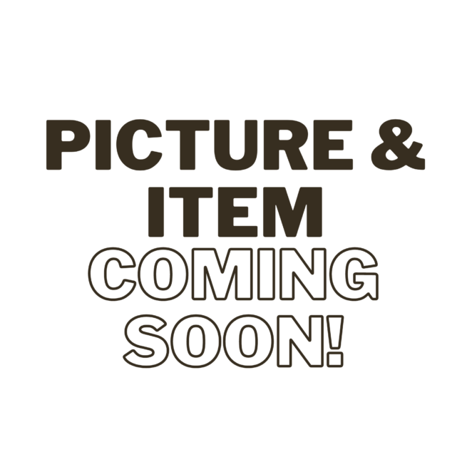 Wholesale Salvati Granulated Onion Spices 5 lb- Bulk