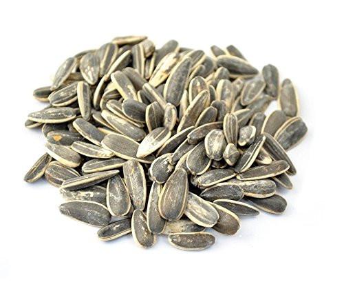 Wholesale Setton Farms Israeli Roasted/Salted Sunflower Seeds 25 lb Bulk Box- Bulk