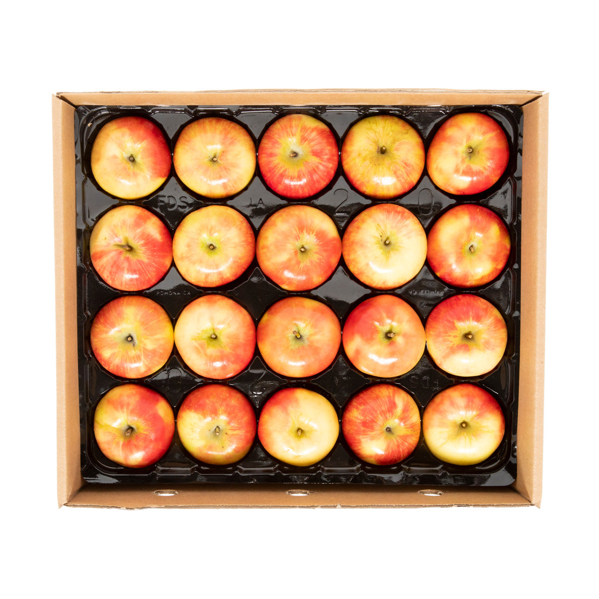 BoxNCase Panta-Pack Honeycrisp Apples