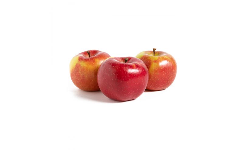 Hudson River Fruit Evercrisp Apples