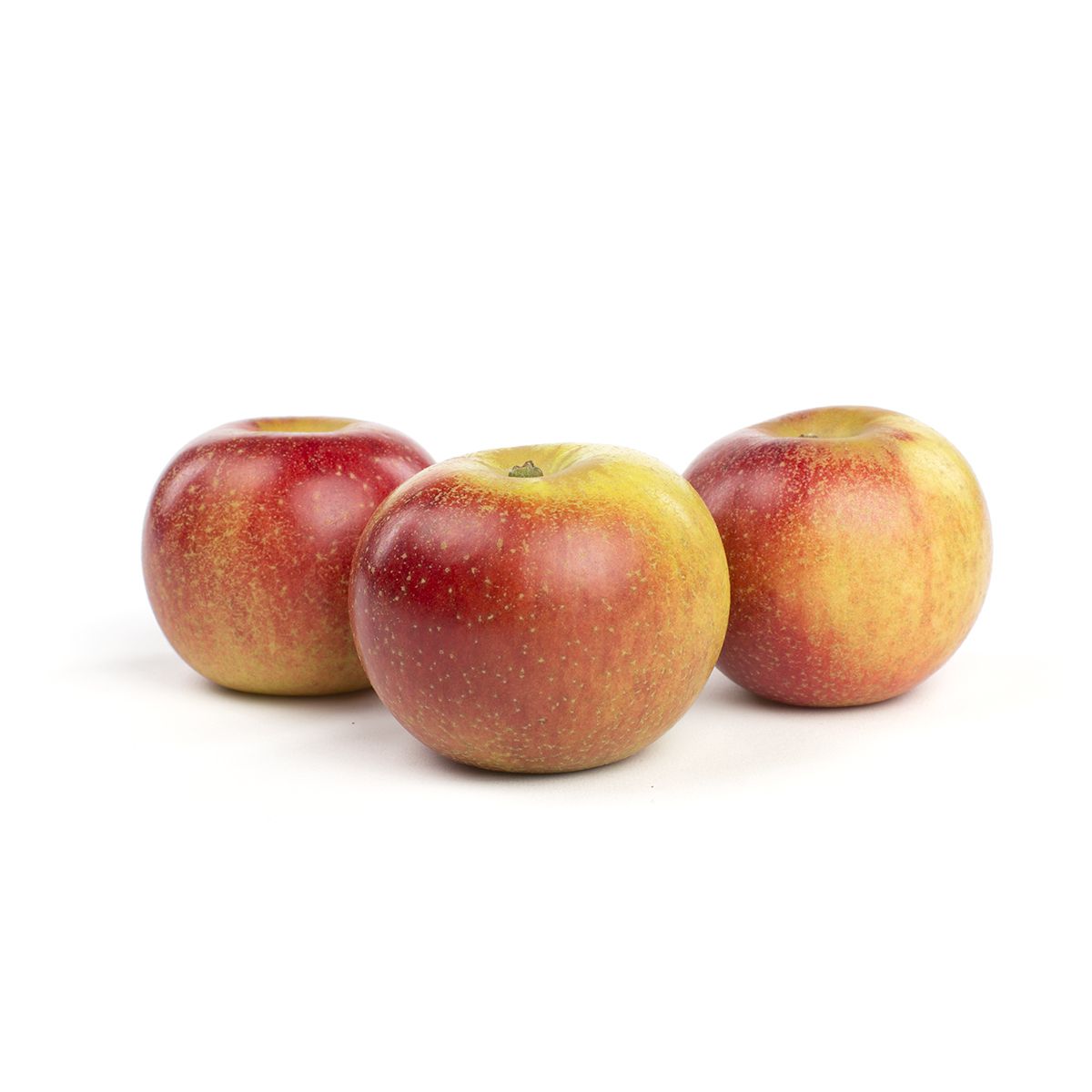 Wholesale Scott Farm Orchard Orleans Reinette Heirloom Apples- Bulk