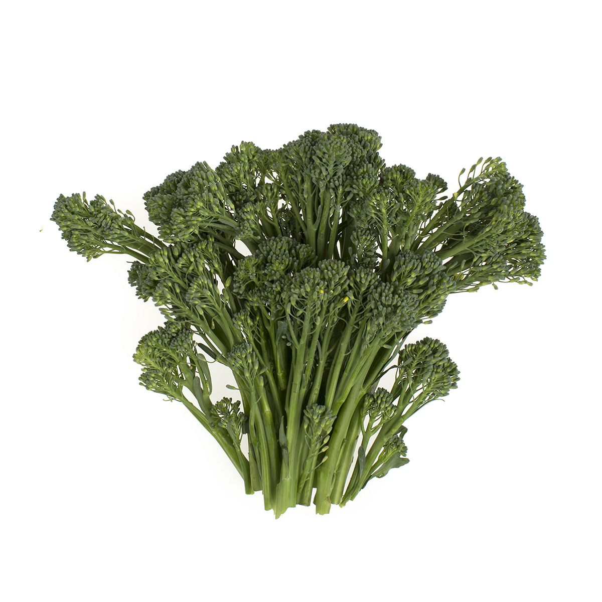 Wholesale Mann Packing Broccolini 2 LB- Bulk