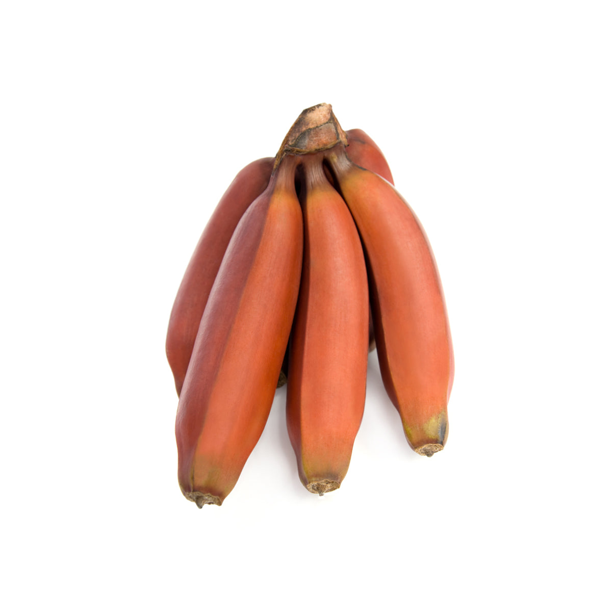 Wholesale BoxNCase Red Bananas- Bulk