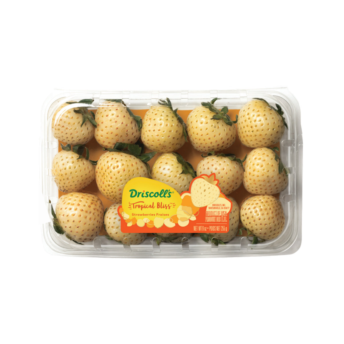 Driscoll'S Limited Edition Tropical Bliss Strawberries 9 OZ