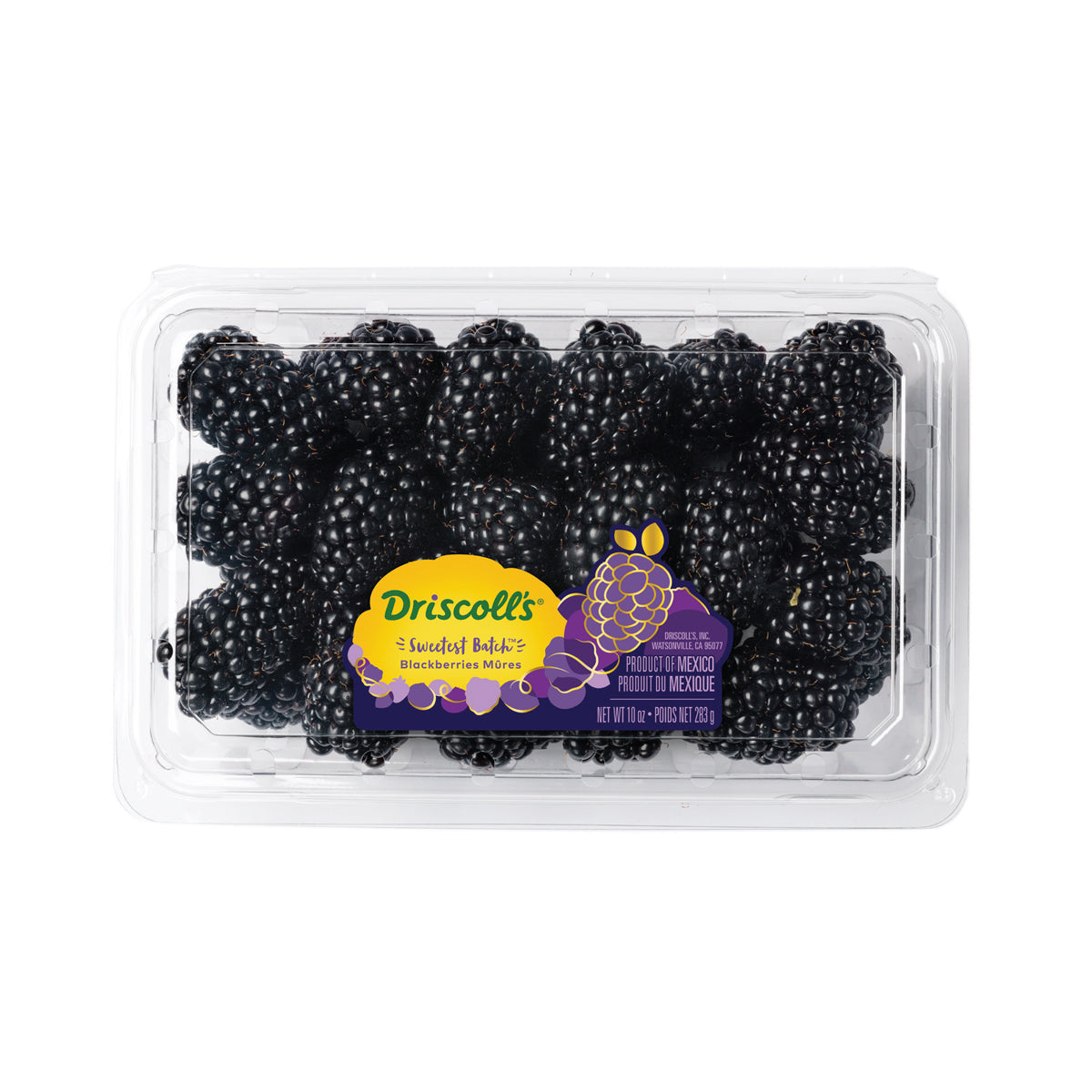 Wholesale Driscoll'S Limited Edition Sweetest Batch Blackberries 10 OZ- Bulk