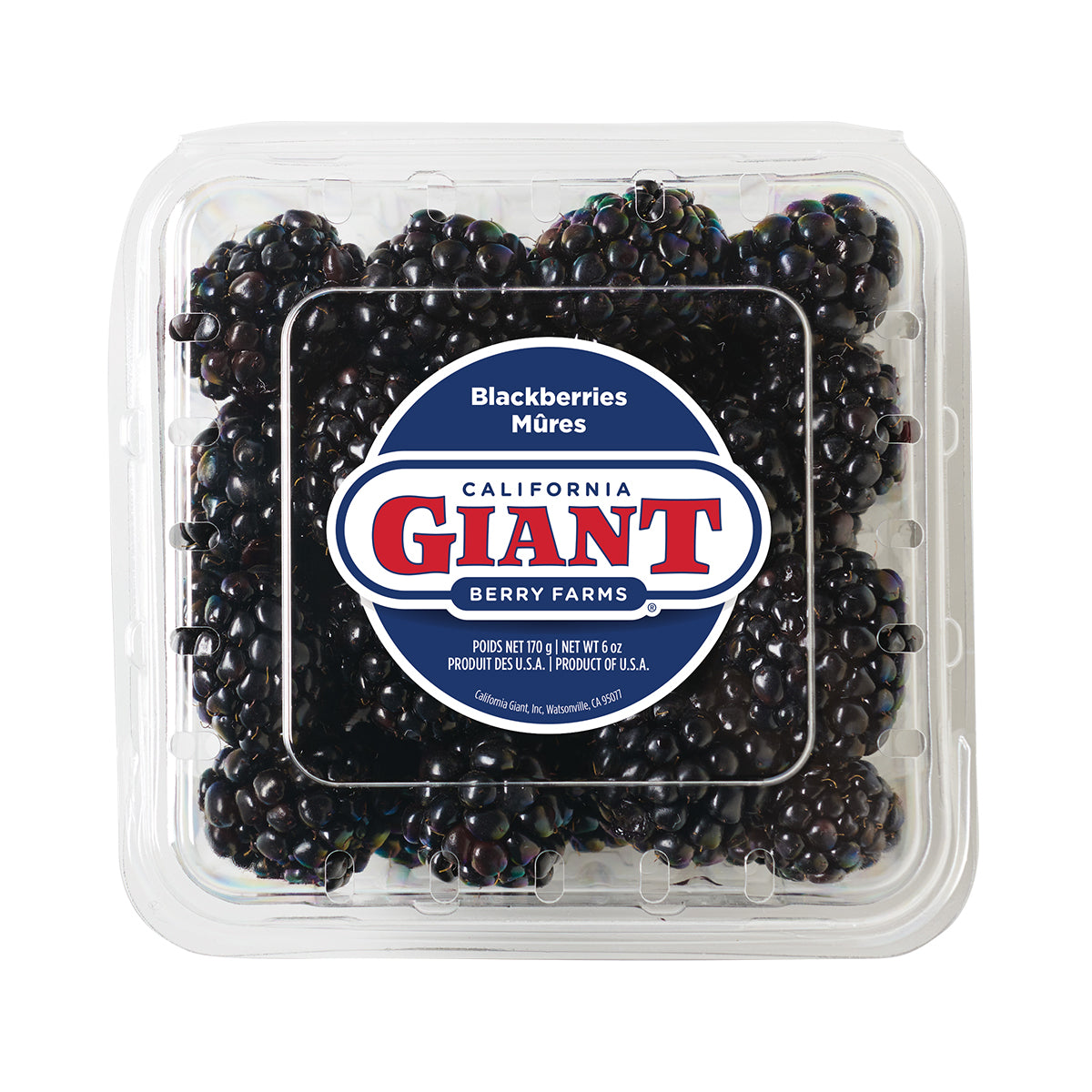 California Giant Berry Farms Blackberries 6 Oz Box