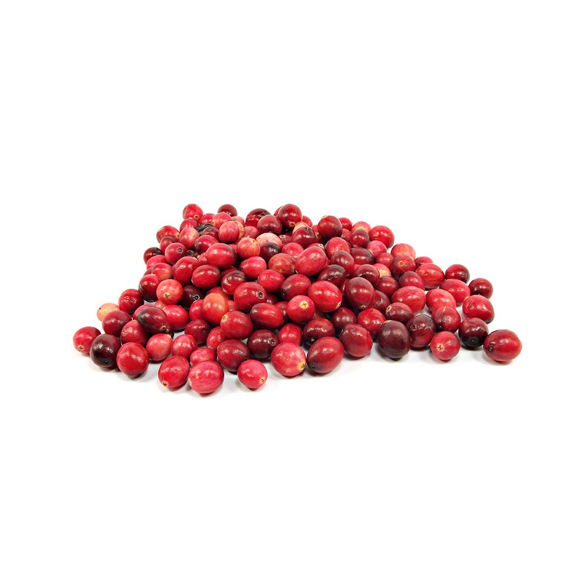 Wholesale BoxNCase Cranberries 12 OZ- Bulk