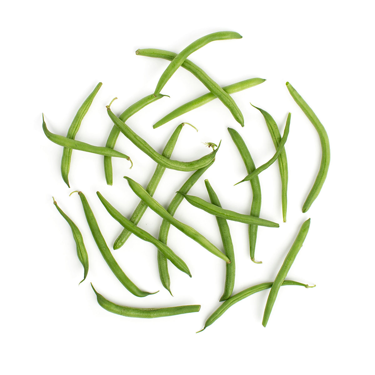 Wholesale BoxNCase String Beans- Bulk