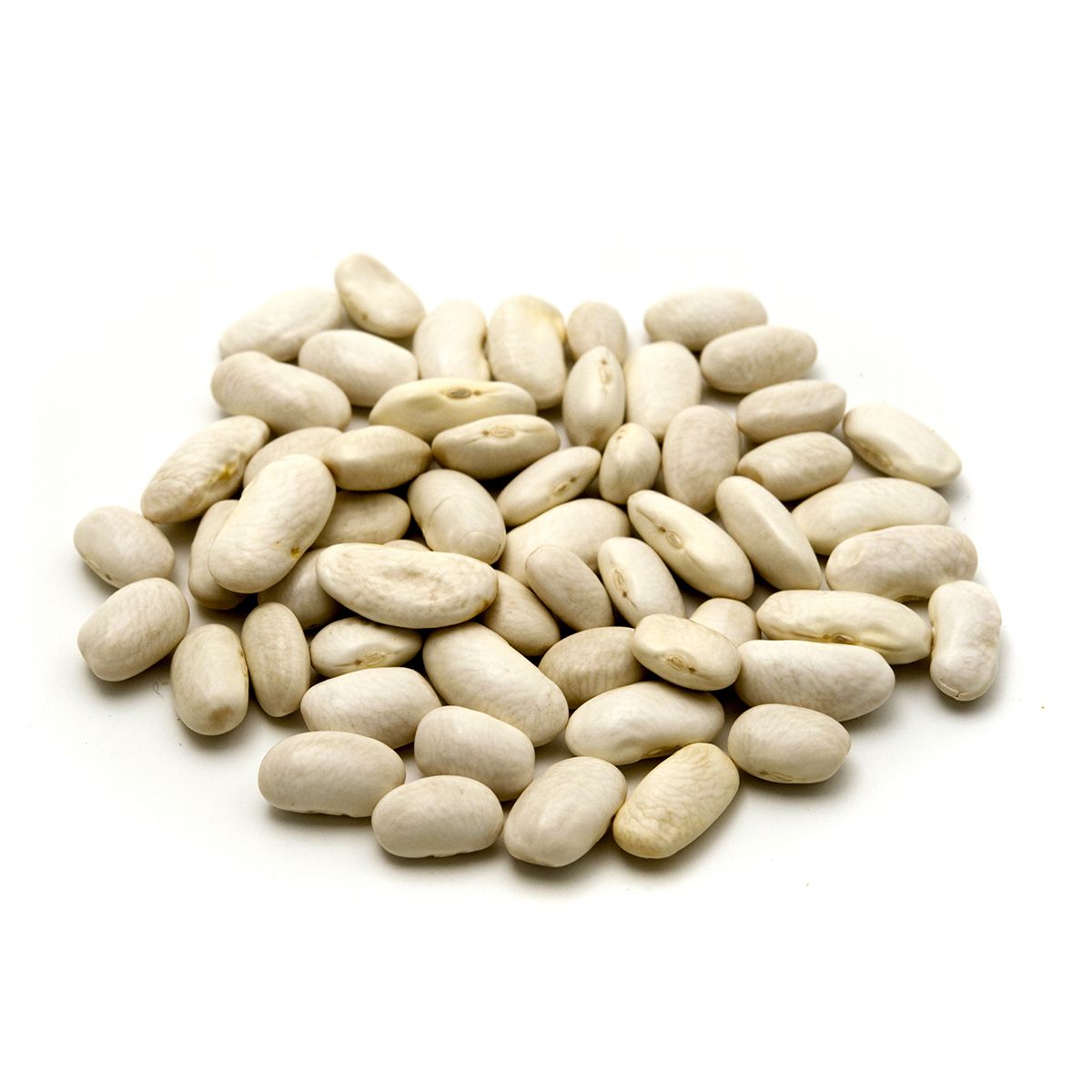 Wholesale BoxNCase Dried Cannellini Beans-25 LB Bulk