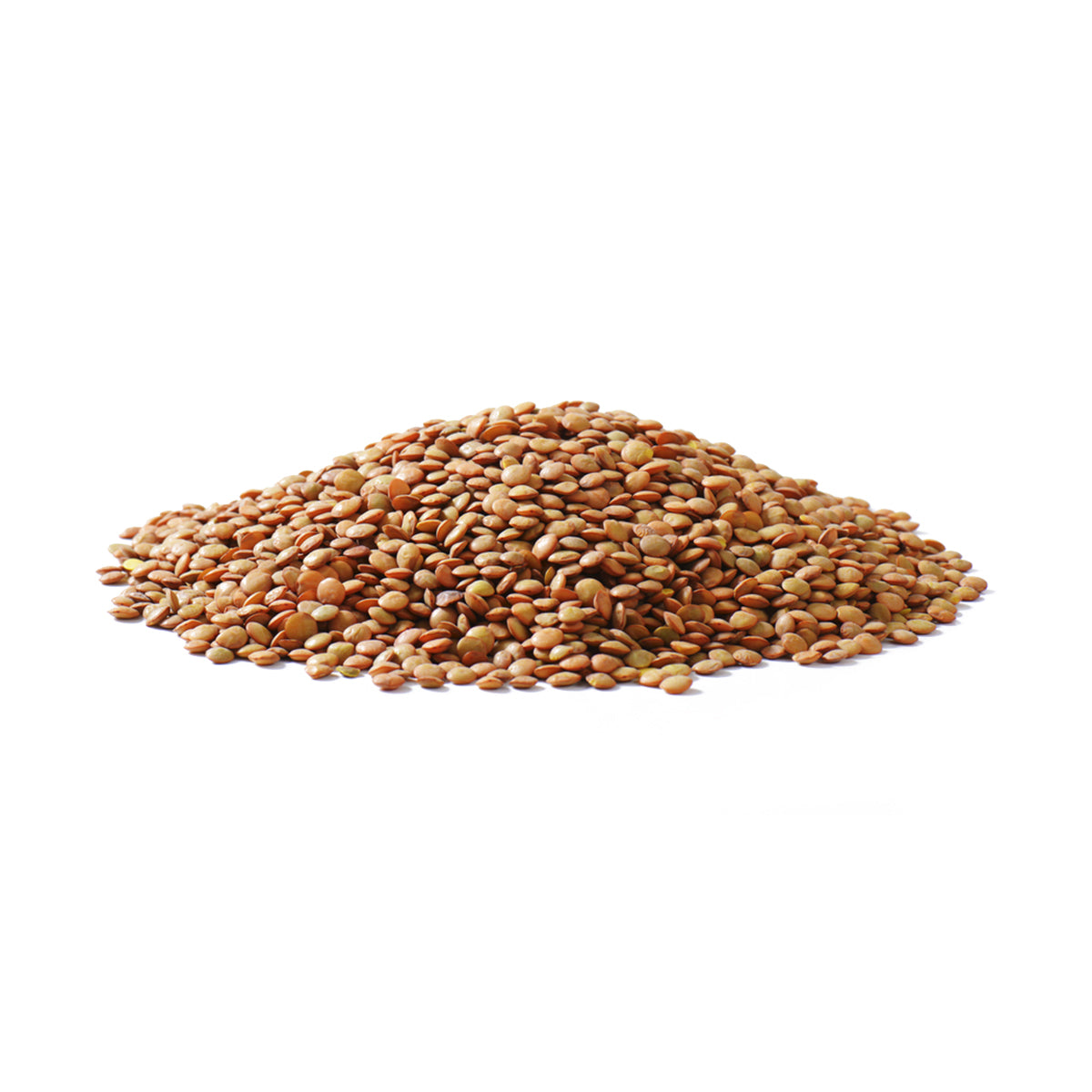 Wholesale BoxNCase Brown Lentils-25 LB Bulk