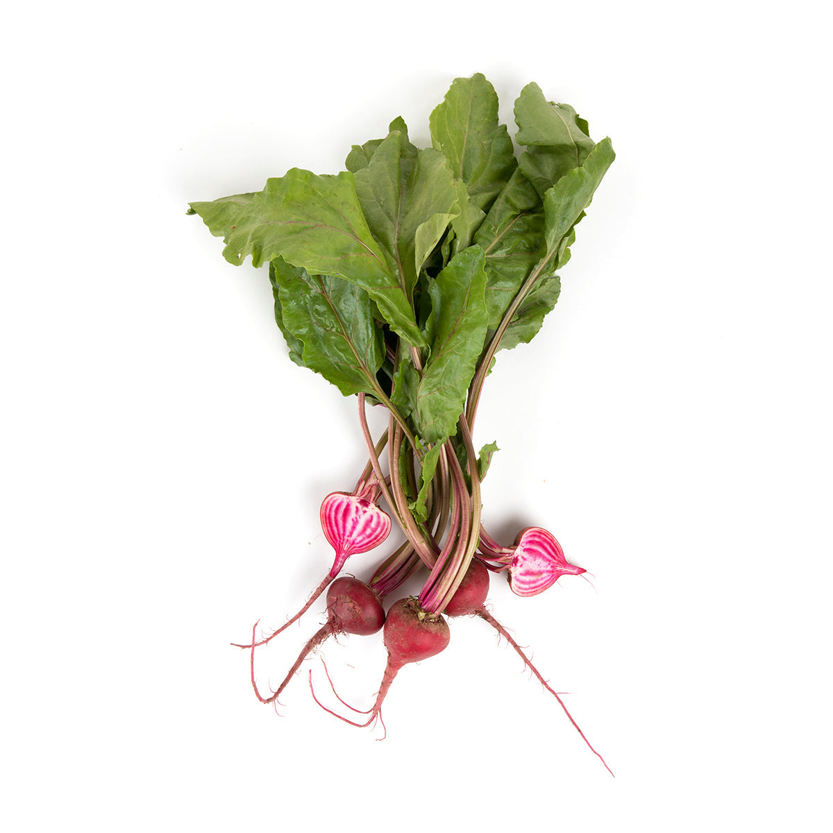 BoxNCase Baby Candy Cane Beets
