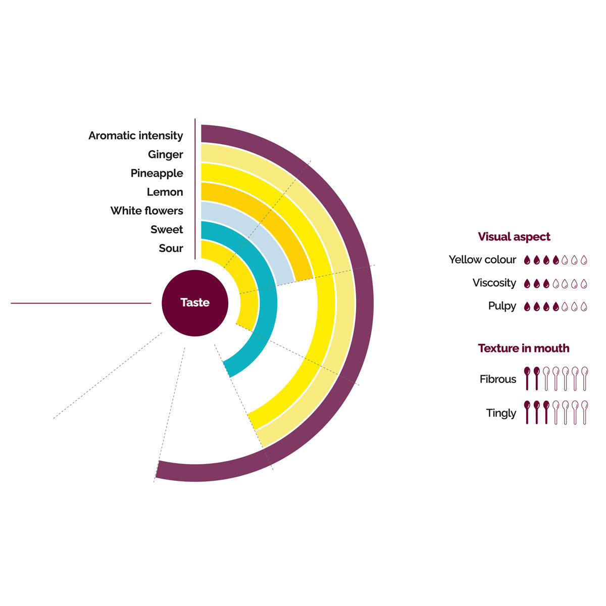 Wholesale Les Vergers Boiron Ginger Puree- Bulk