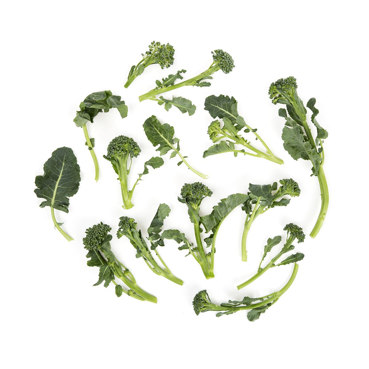 BoxNCase Organic Broccoli Di Ciccio
