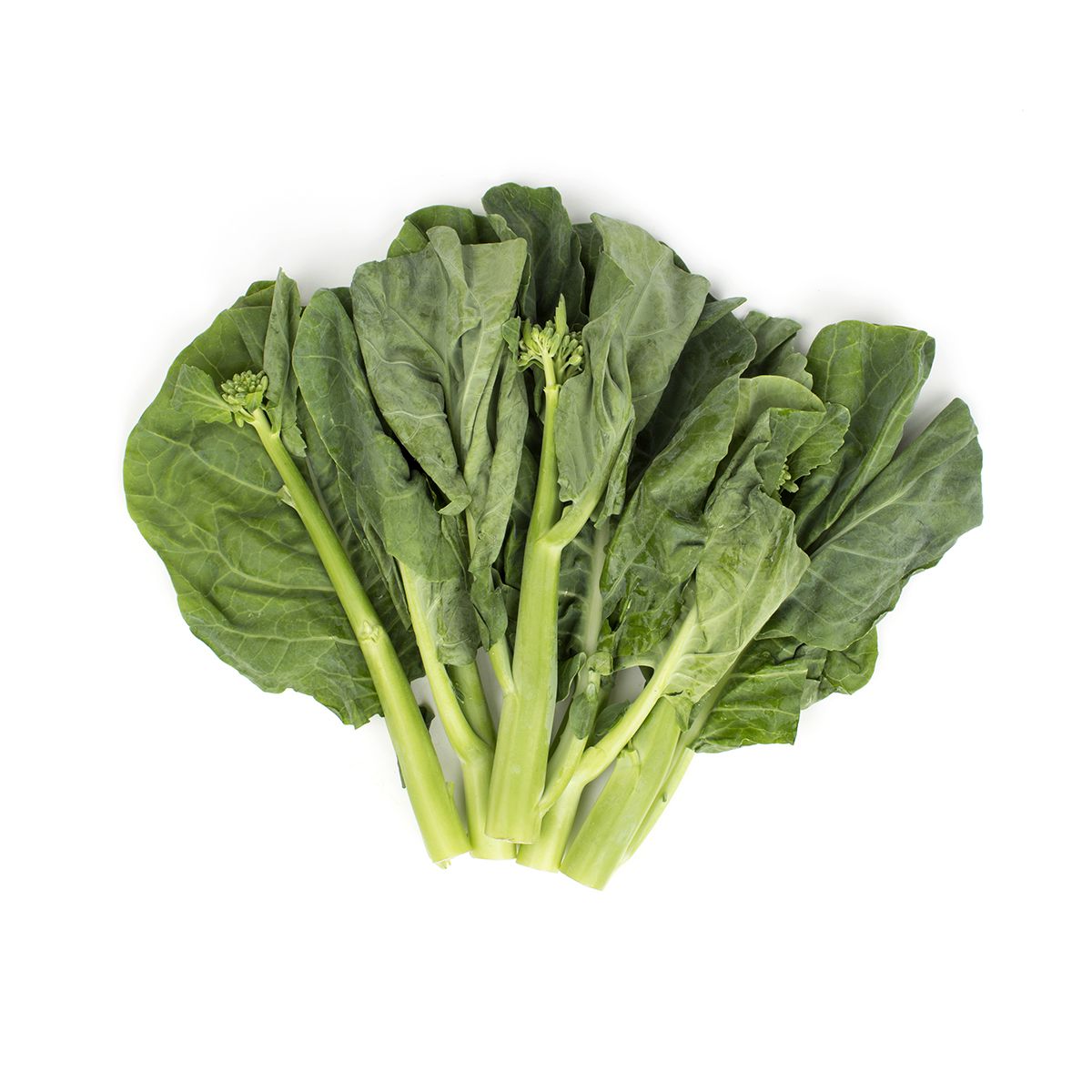Wholesale BoxNCase Chinese Broccoli / Gai Lon- Bulk