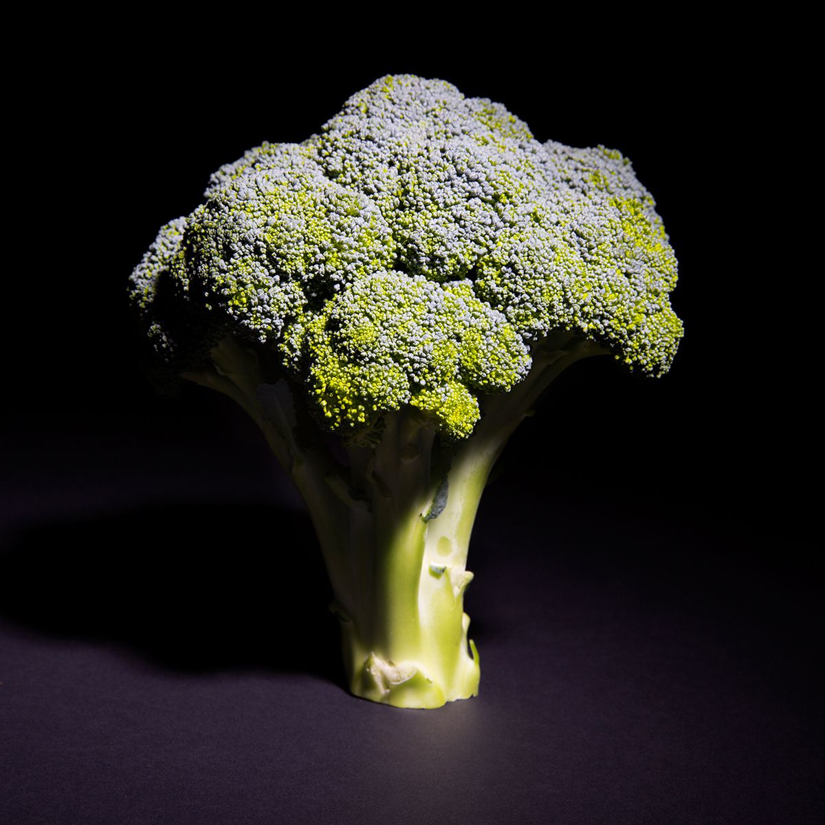 Wholesale BoxNCase Broccoli- Bulk