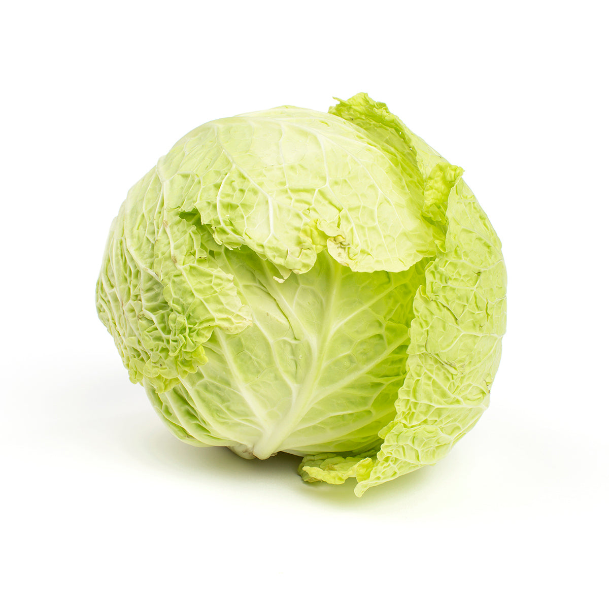 Wholesale BoxNCase Savoy Cabbage- Bulk