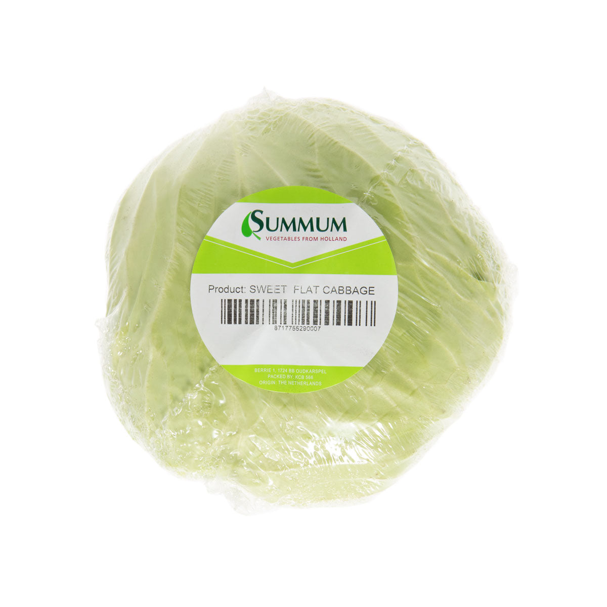 BoxNCase Flat Cabbage