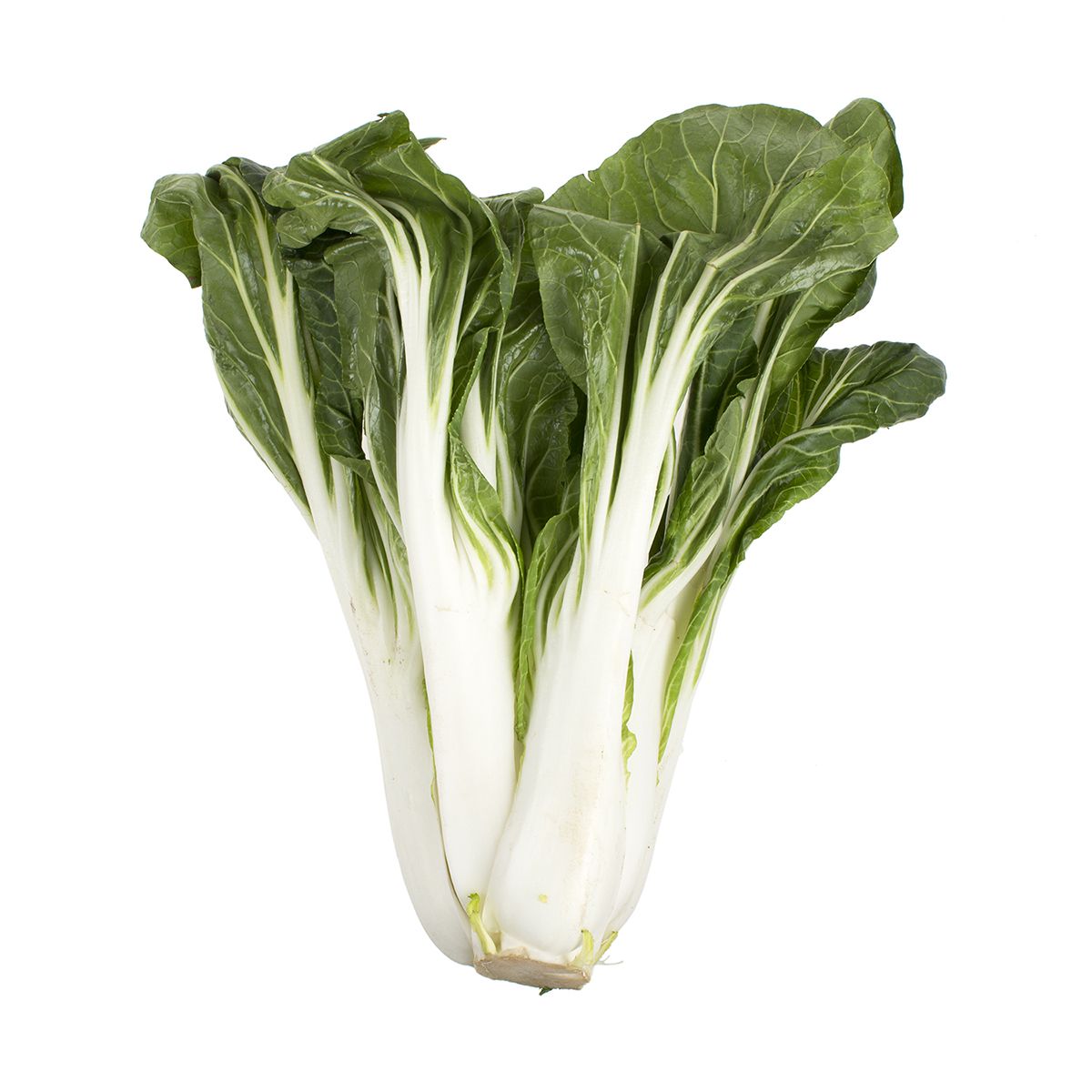 Wholesale Cal-Organic Farms Organic Bok Choy- Bulk