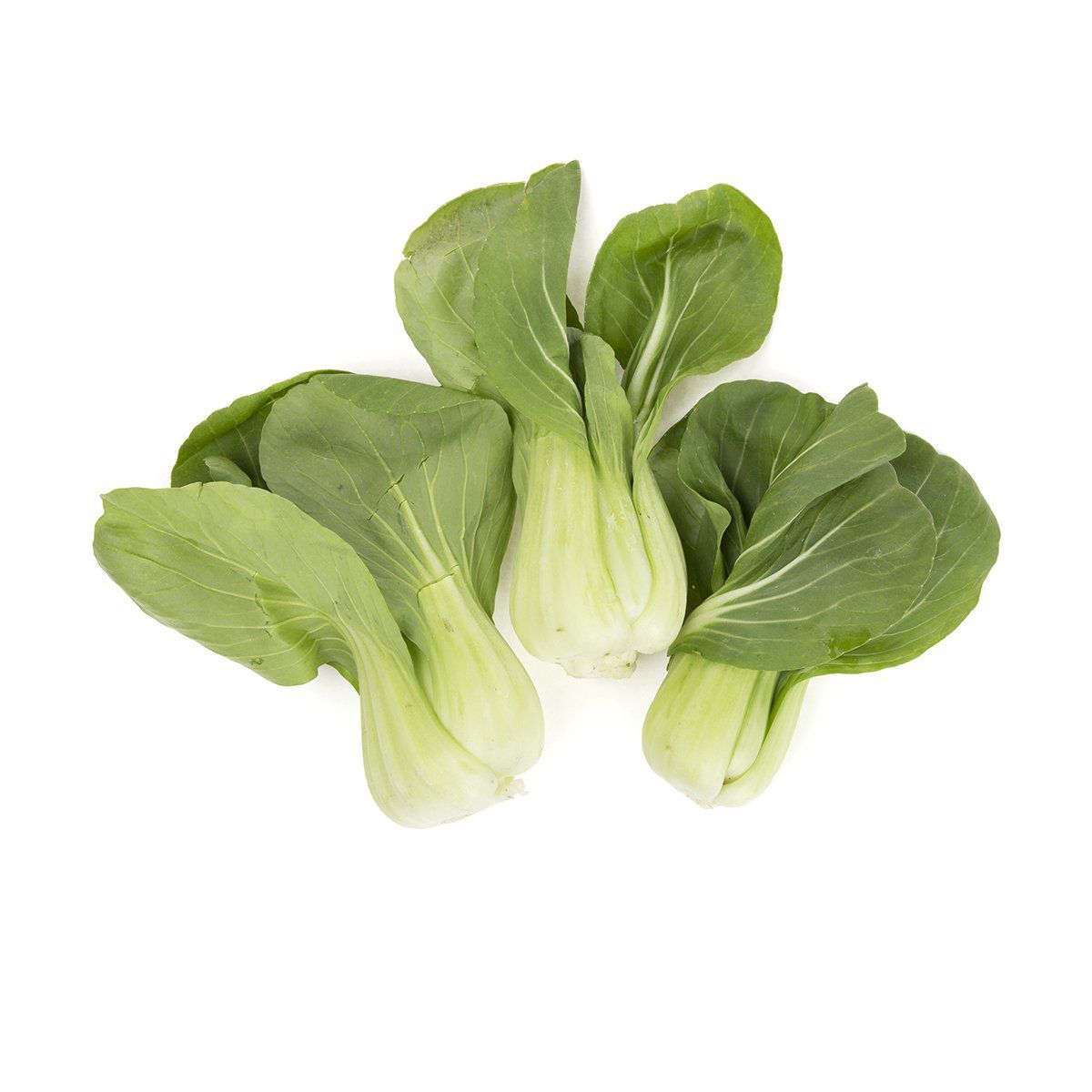 Wholesale BoxNCase Ultra Baby Bok Choy-20 LB Bulk