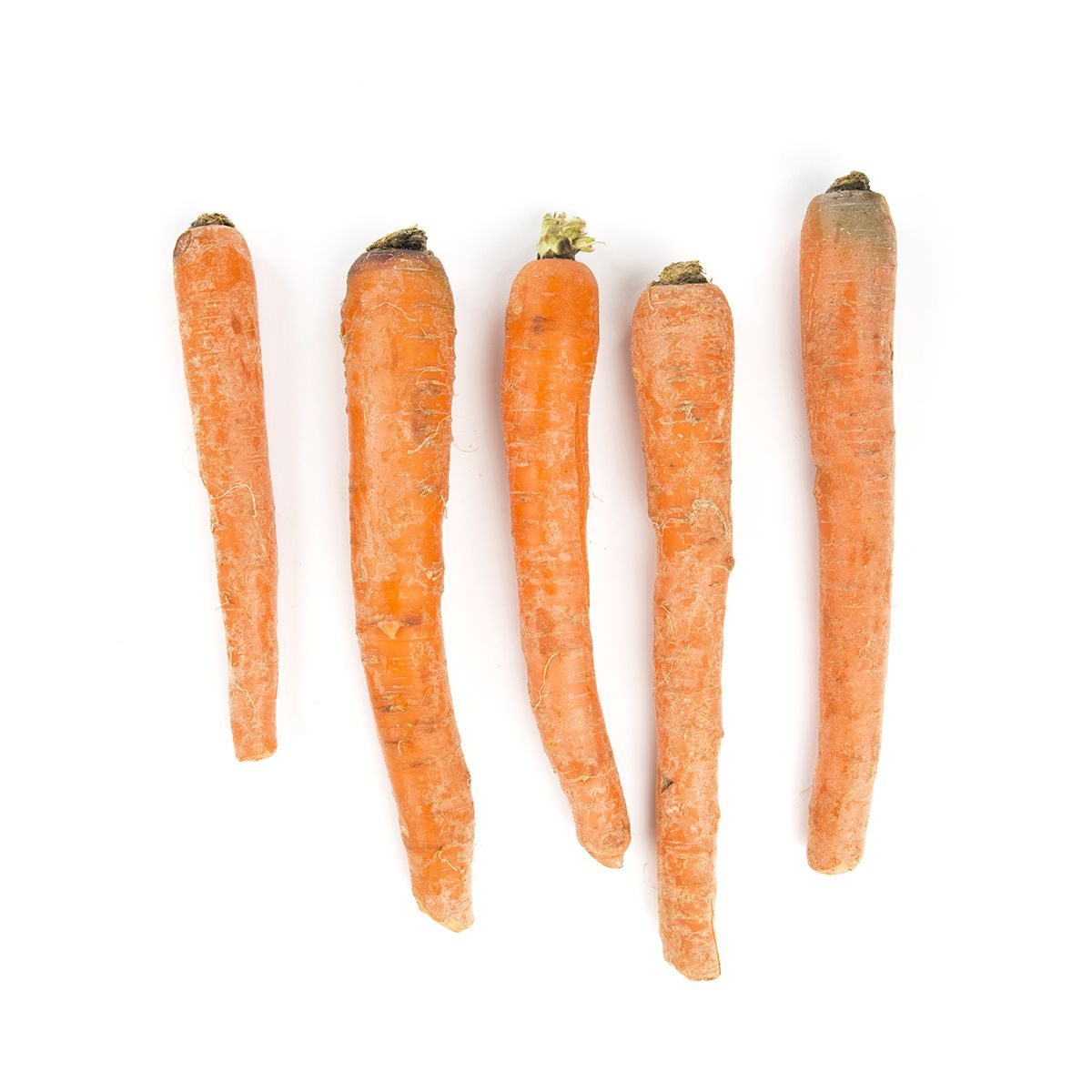 Wholesale BoxNCase California Loose Extra Fancy Carrots- Bulk