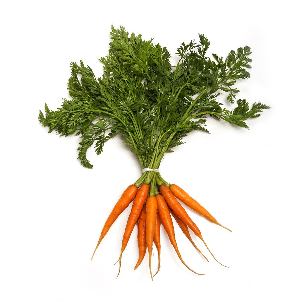 Wholesale BoxNCase Baby French Carrots- Bulk