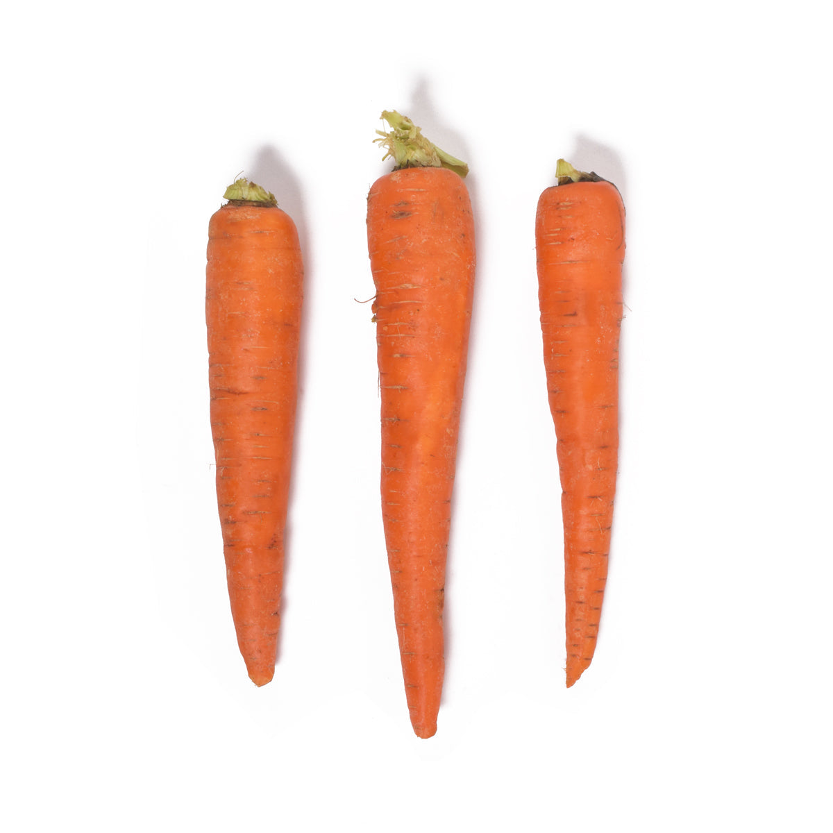 Wholesale BoxNCase Jumbo California Carrots- Bulk