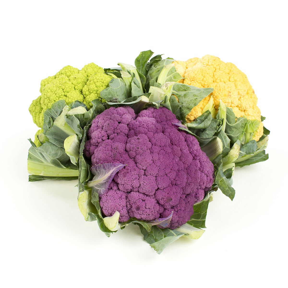 Salad Savoy Tri-Color Cauliflower