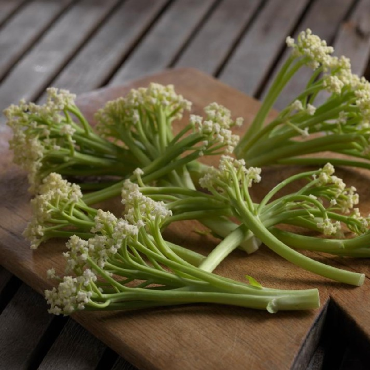 Wholesale Mann Packing Caulilini SweetStem Cauliflower 2 LB- Bulk