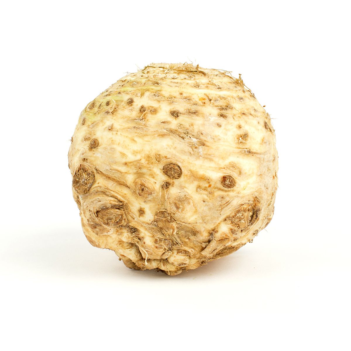 Wholesale BoxNCase Celery Root- Bulk