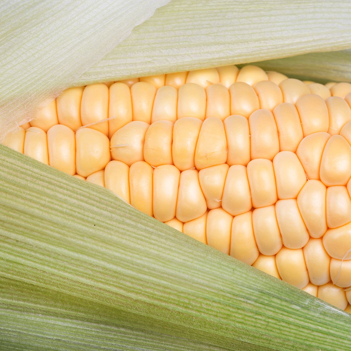 Wholesale BoxNCase Yellow Corn- Bulk