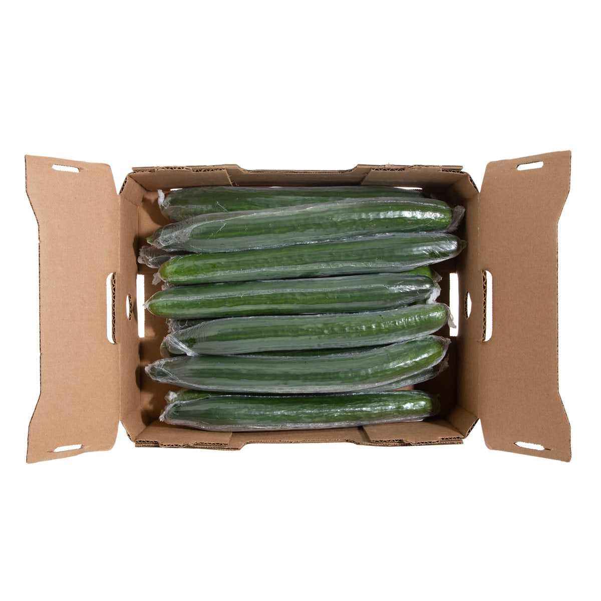 Wholesale BoxNCase Hot House Cucumbers- Bulk