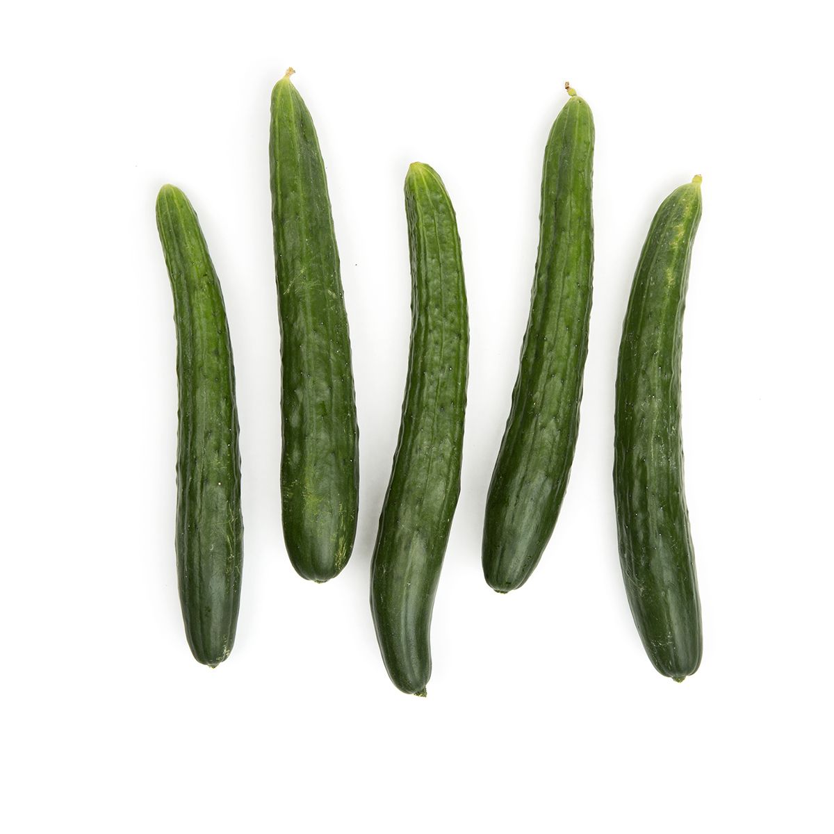 Wholesale BoxNCase Japanese Cucumbers- Bulk