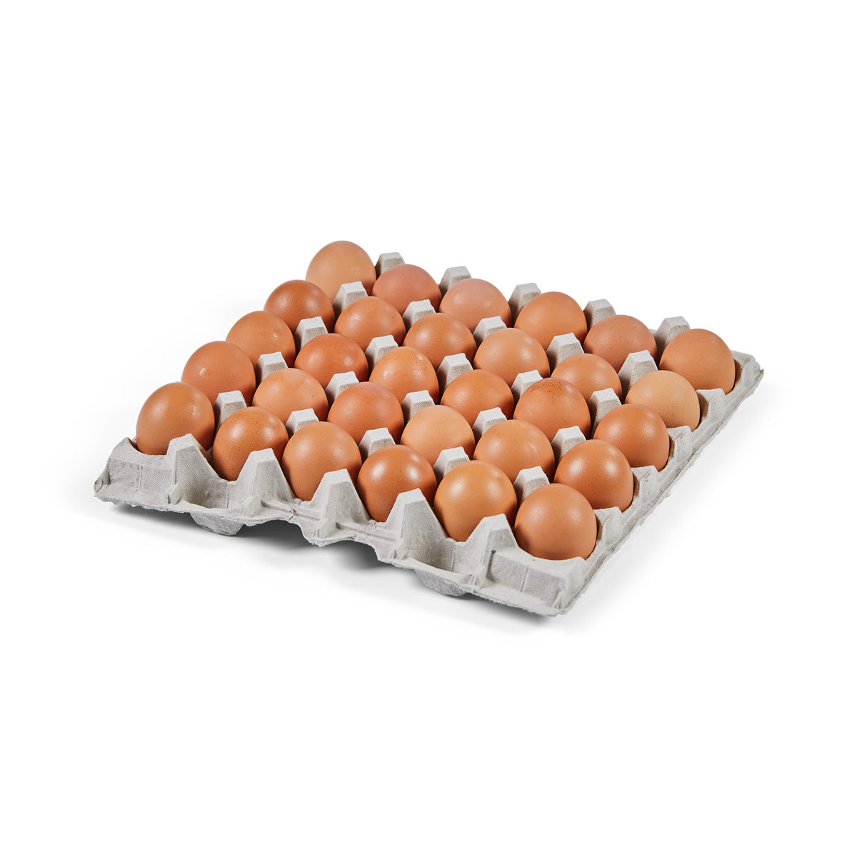 Wholesale Vital Farms Pasture-Raised Medium Shell Eggs-15 DZ Bulk