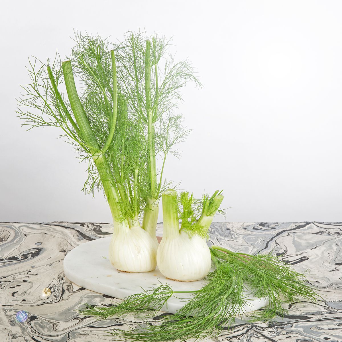 Wholesale BoxNCase Fennel- Bulk