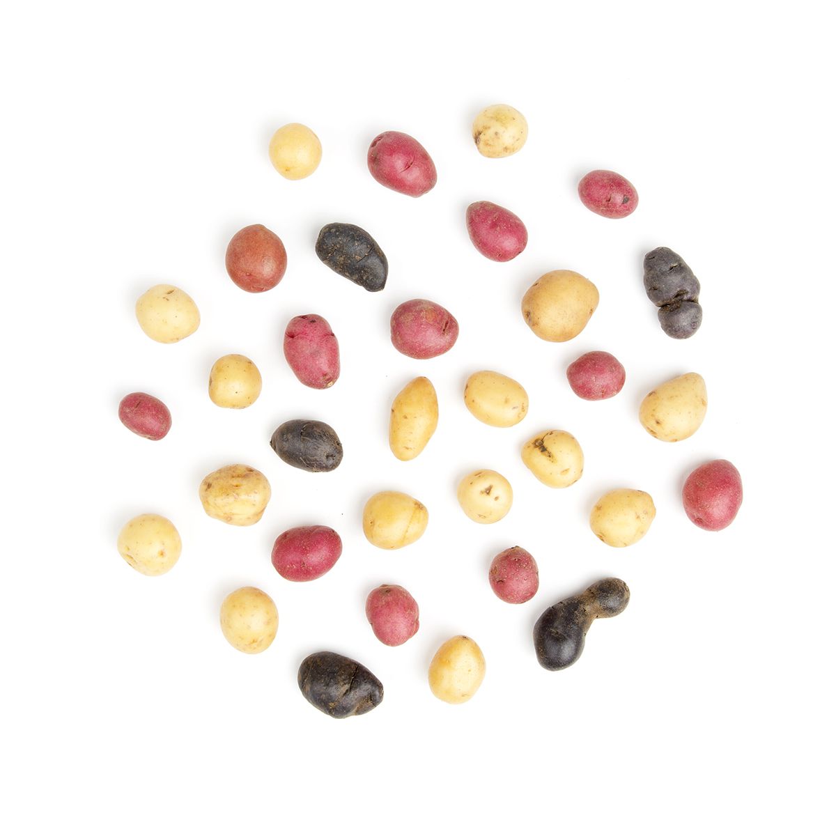 Wholesale BoxNCase Multi-Color Pee-Wee Potatoes- Bulk