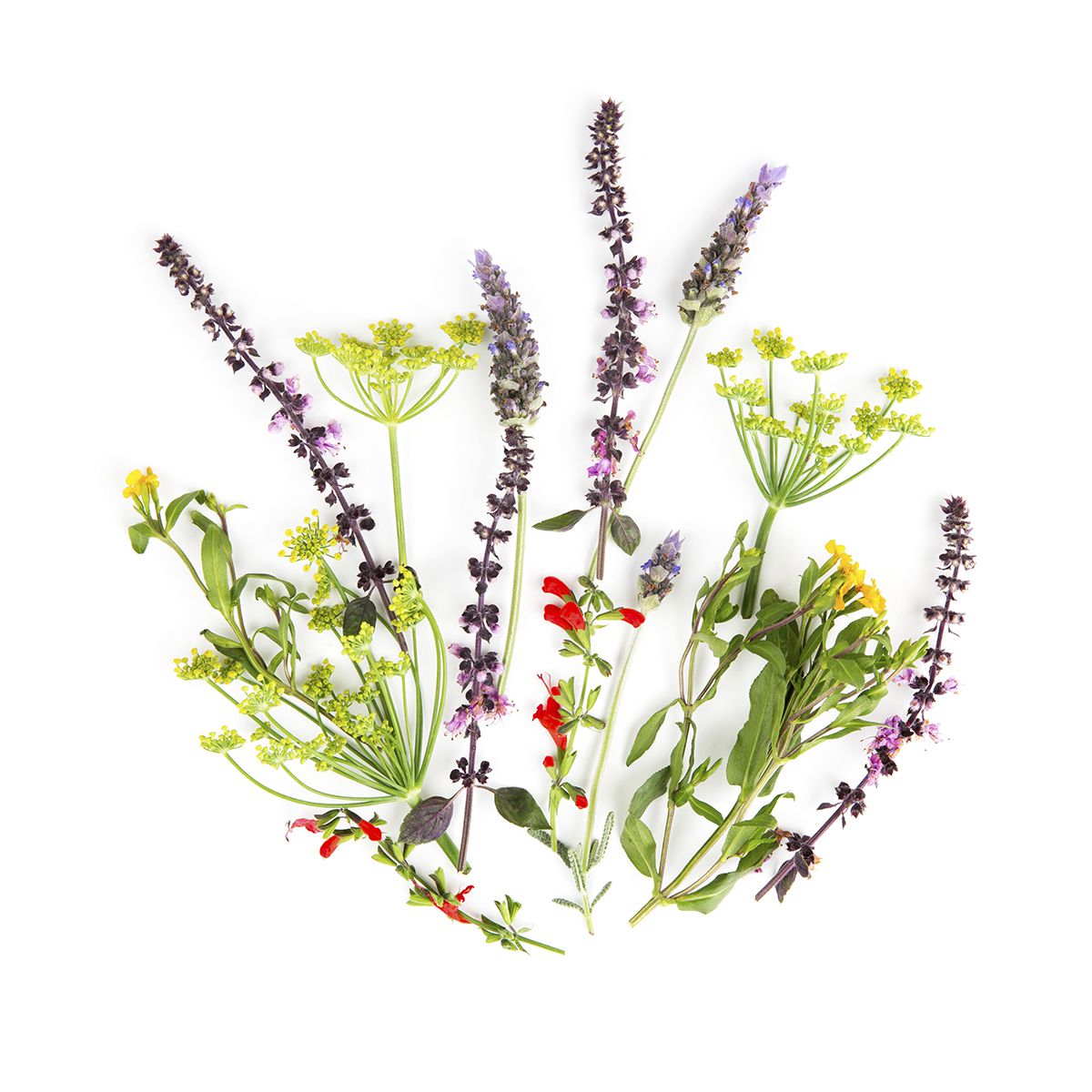 Fresh Origins Herb Flower Mix