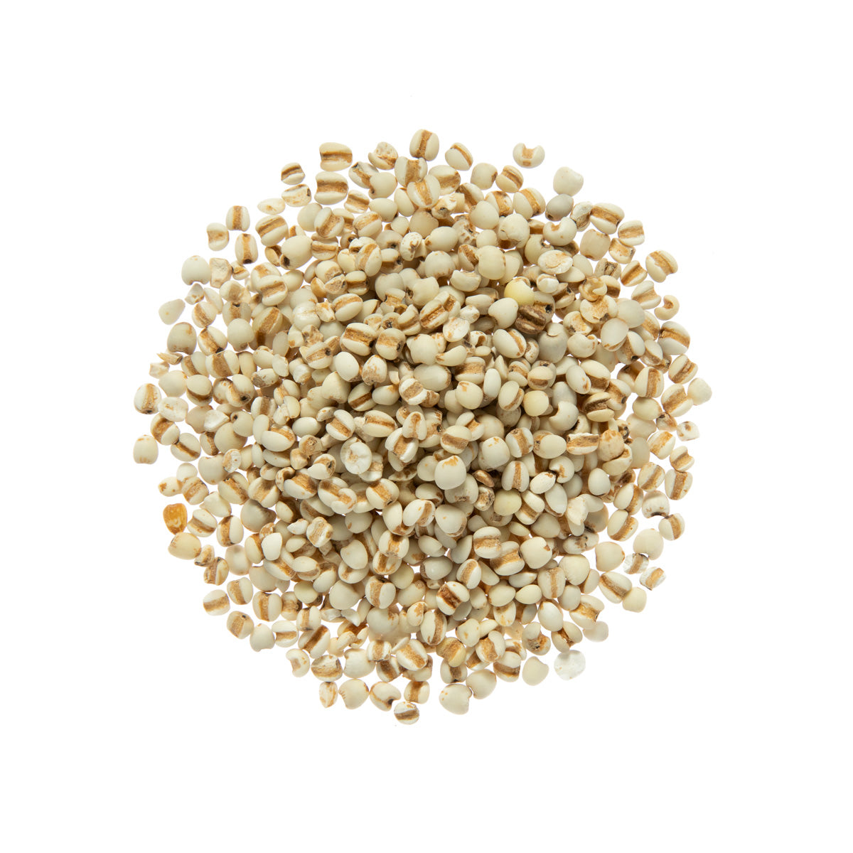 Wholesale Woodland Foods Organic Job's Tears Asian Barley-10 LB Bulk
