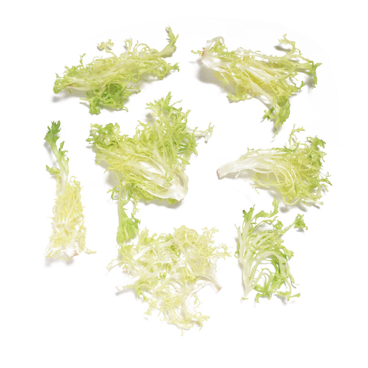 Wholesale Babe Farms Platinum Blonde Frisee Salad 2 lb- Bulk