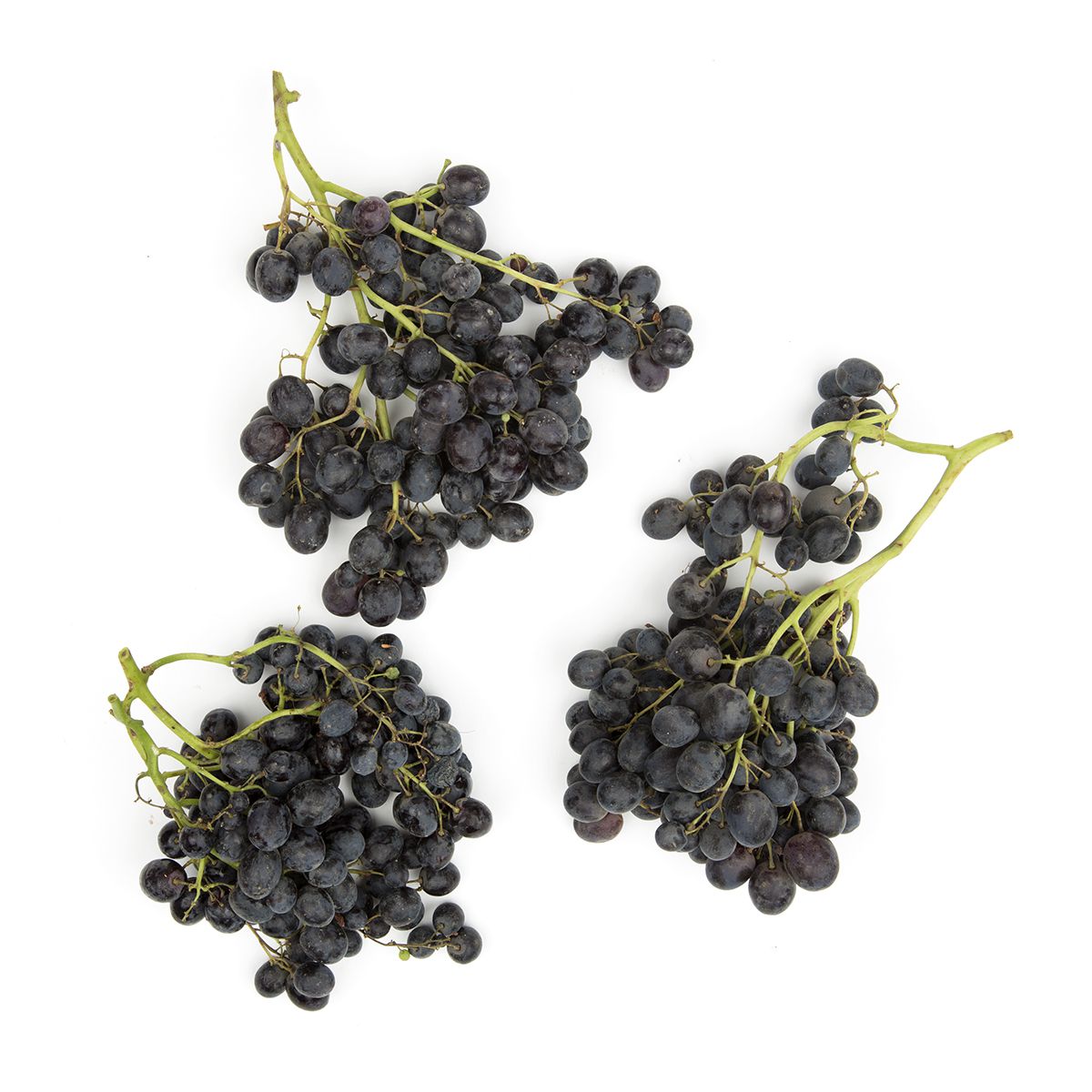 Wholesale Grapery Gum Drop Grapes-16 LB Bulk
