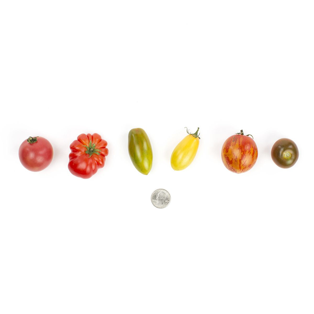 Wholesale Eckerton Hill Farm Medium Heirloom Tomatoes 16 Oz Pack- Bulk